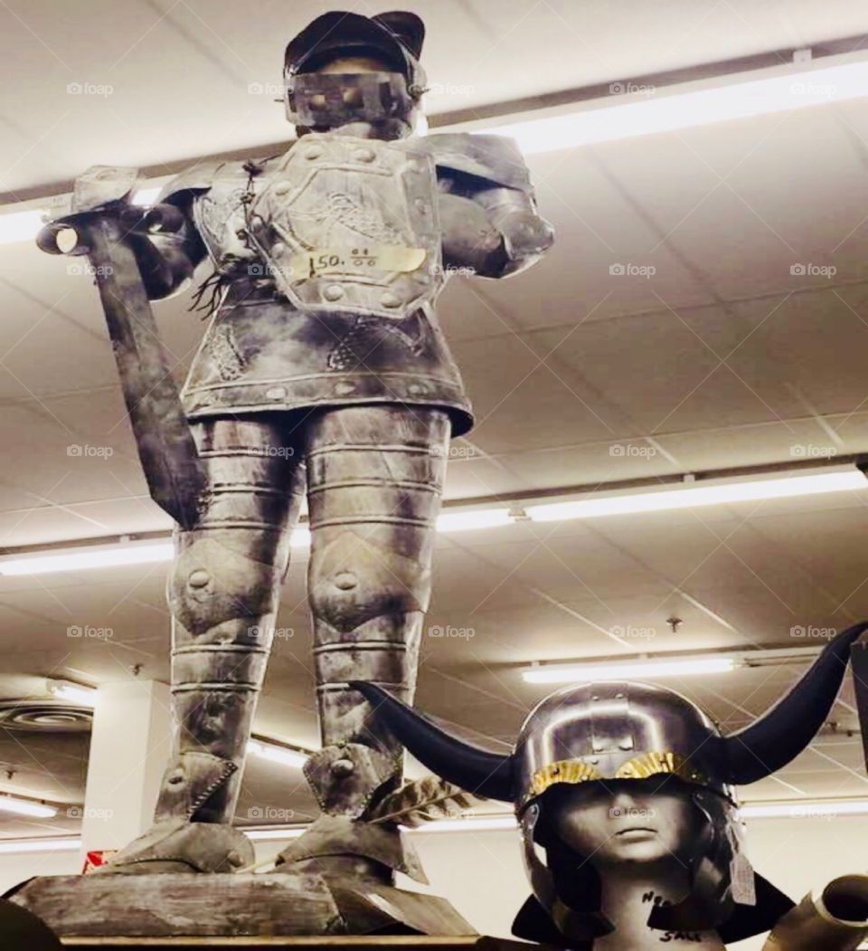 Knight in Shining Armor with Viking girl