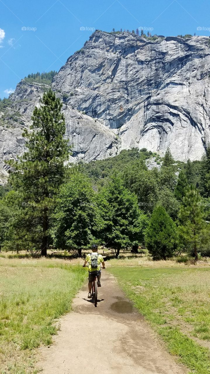 Tree, Landscape, Nature, Mountain, Travel