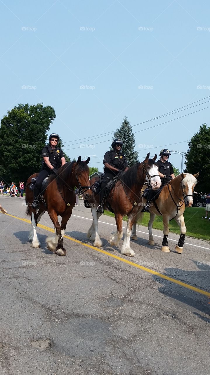 mounted police. Whitmore Lake,  Michigan