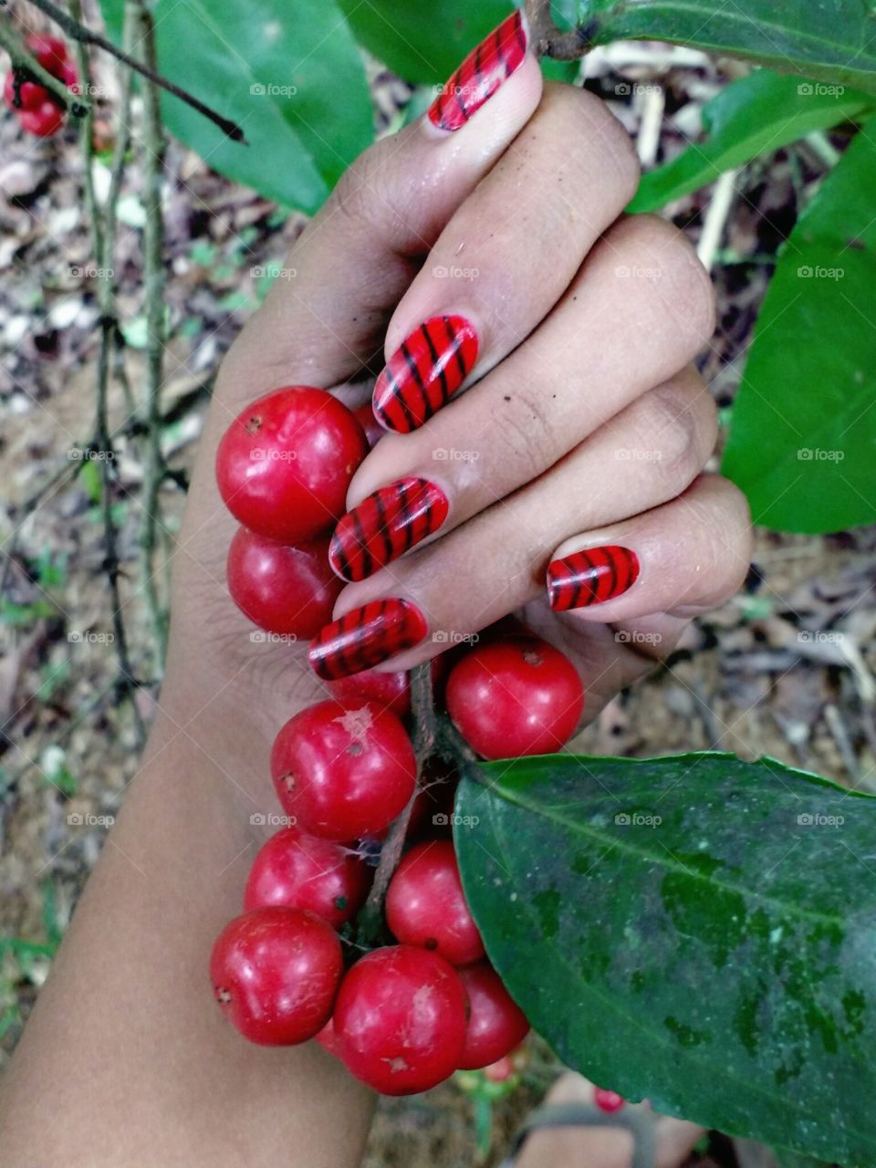 holding red fruits