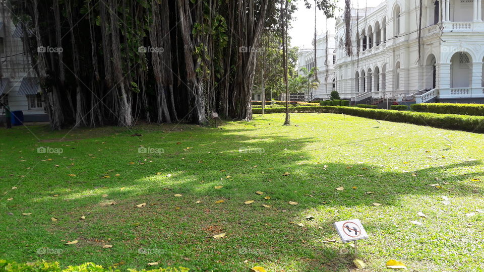 Museum in sri lanka