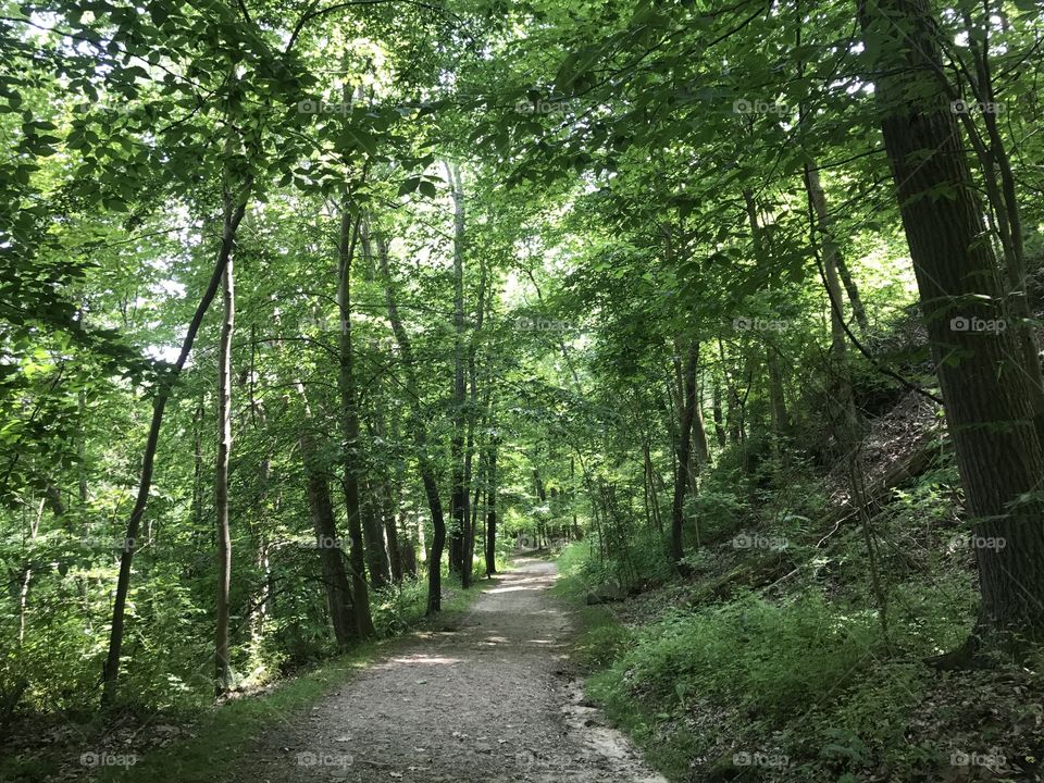 Trail 