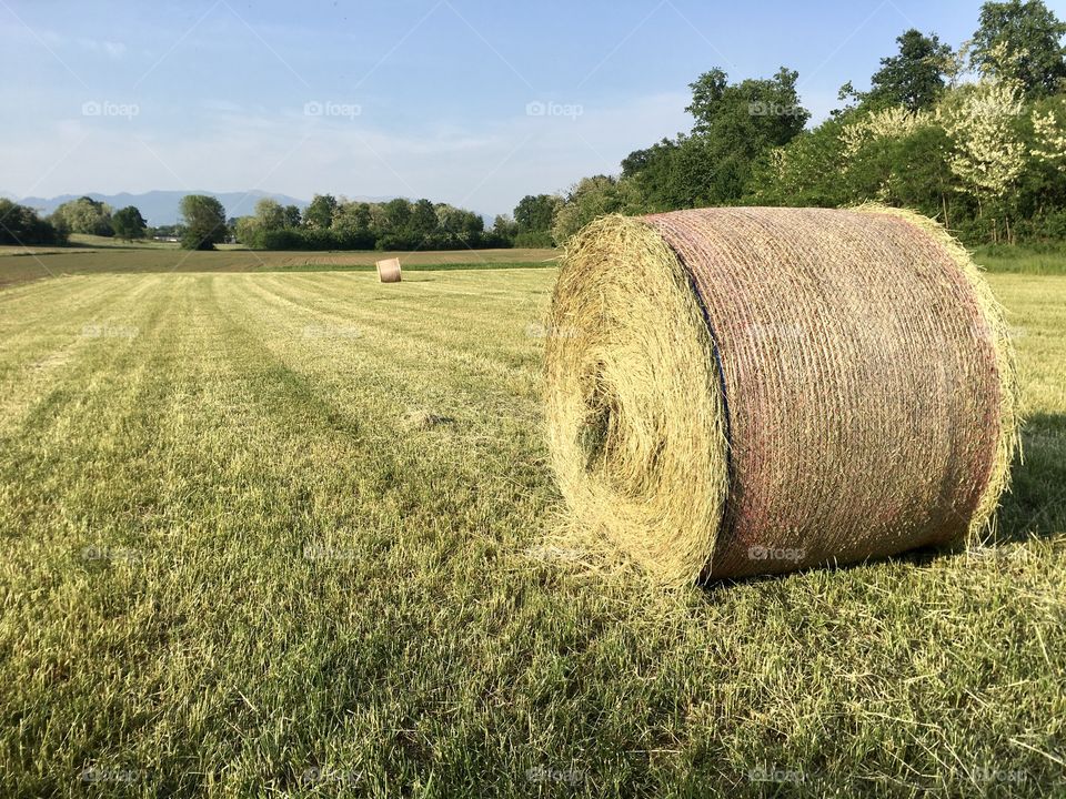 hay harvesting in the Como countryside