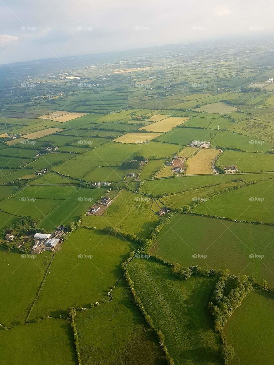 The green fields of Antrim