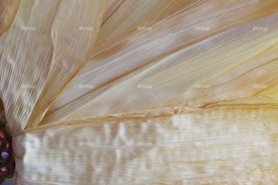 Corn husk texture