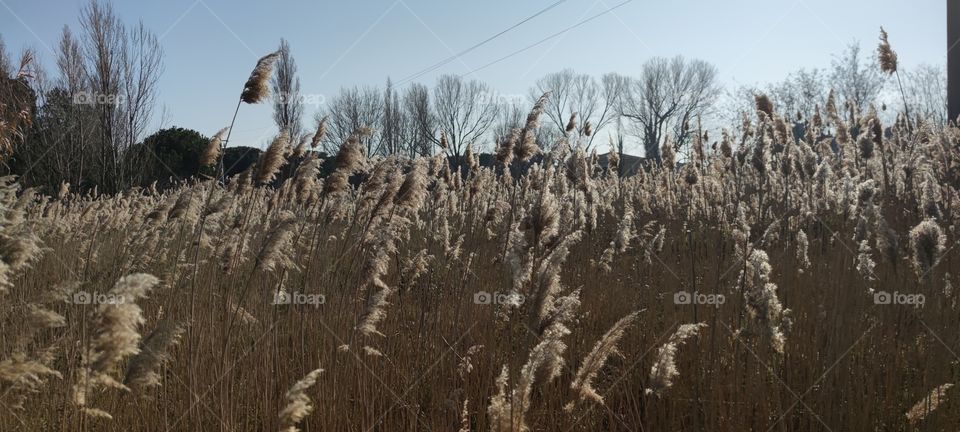 riccione january 2022