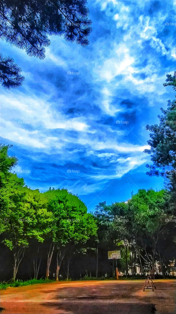 Cloud shaped like the face of a dog above a basketball court
