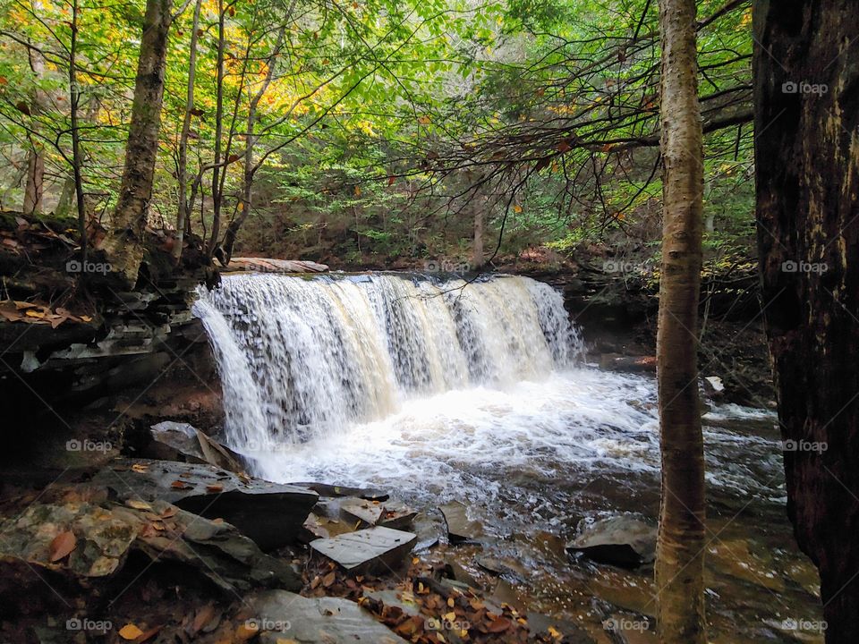 Ricketts Glen State Park