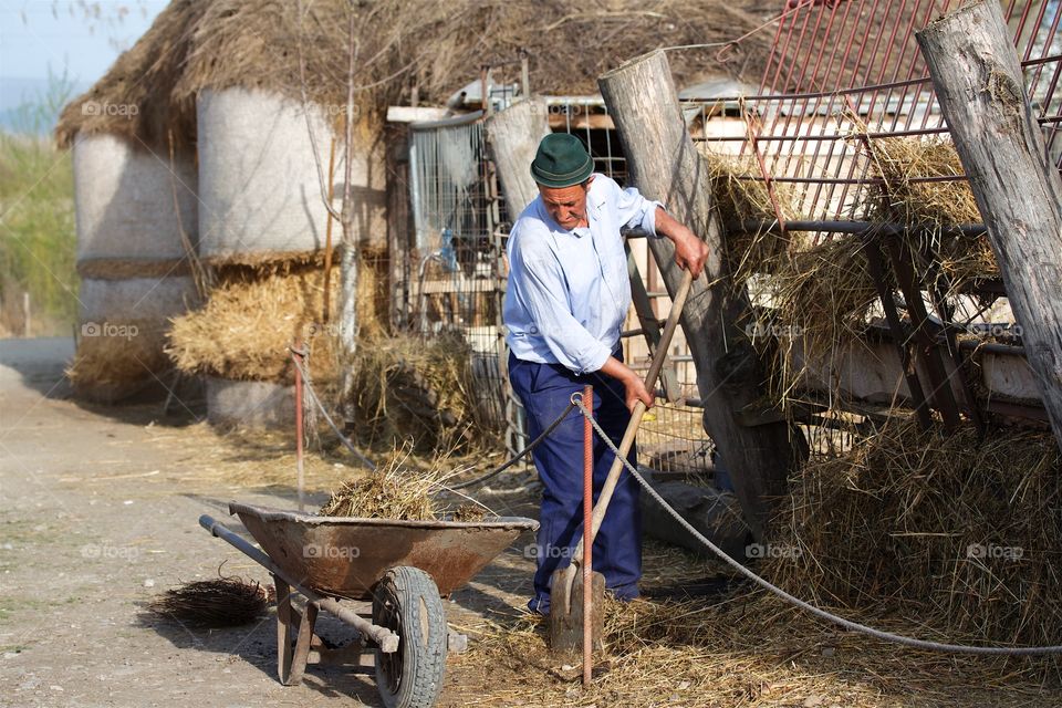 Man standing near wheelbarrow