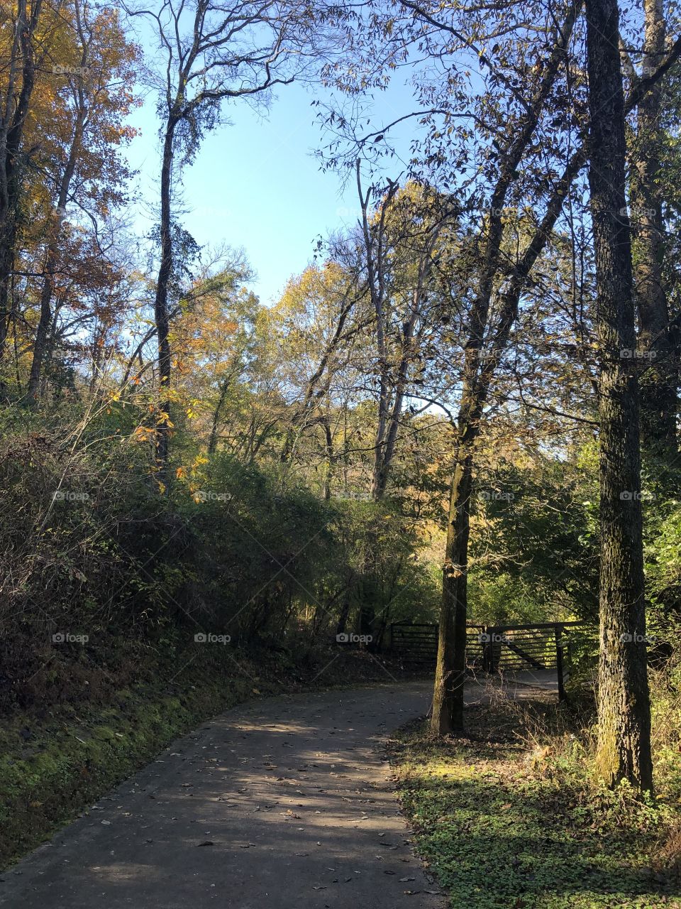 Fall Around The Corner