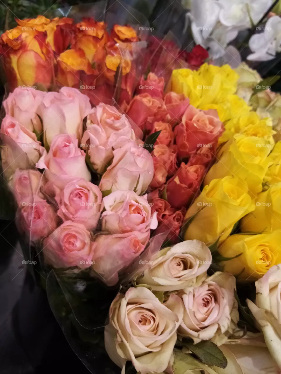 Blumen