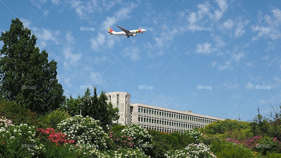 Flying over the city