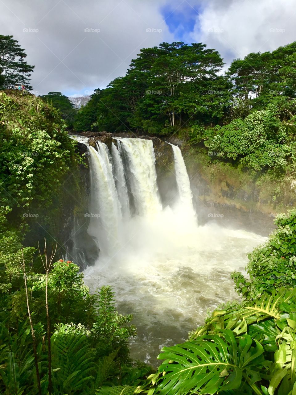 Rainbow Falls after a week of rain.