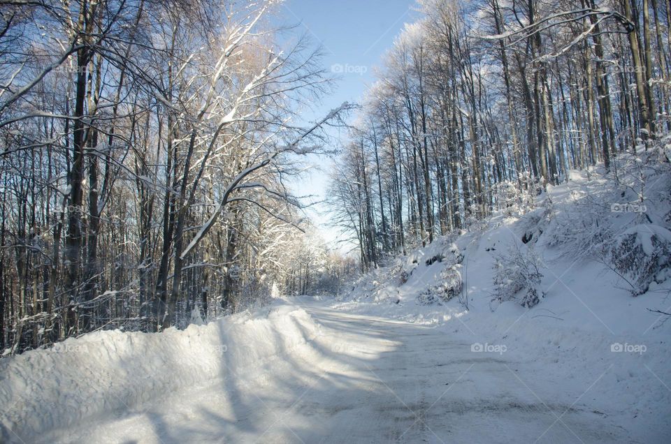 On the road..., Winter landscape