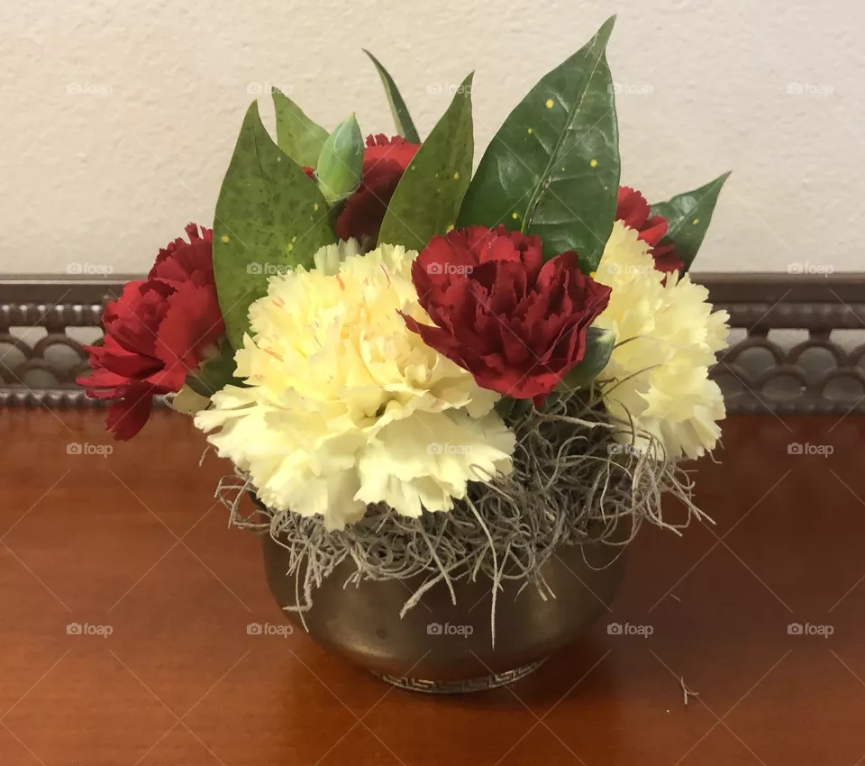 Red & White Carnations 