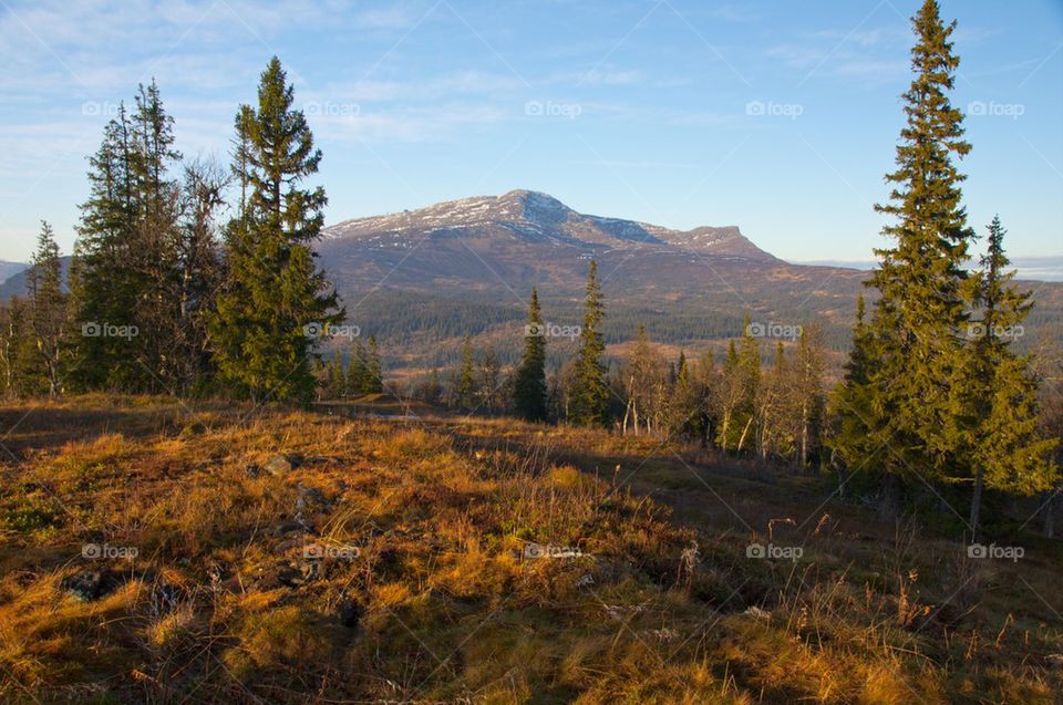 Autumn in Åre