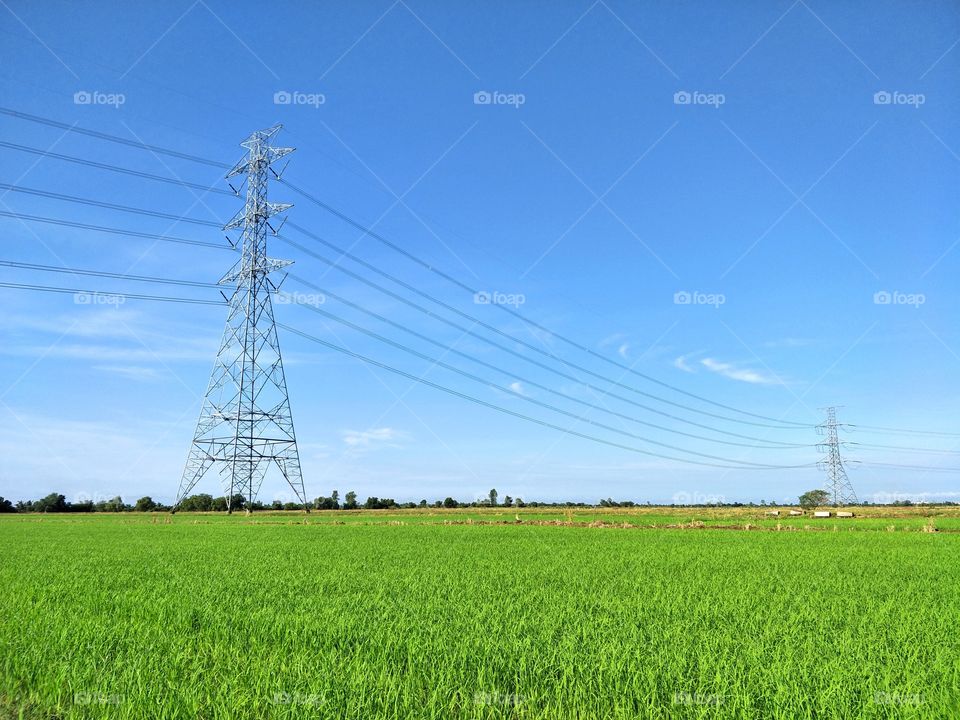 High voltage pole in the field.