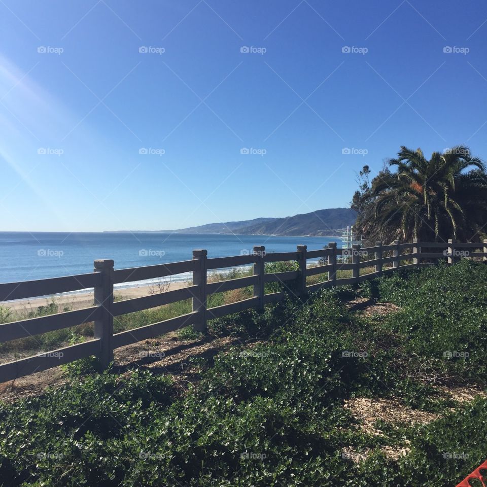 Park in Santa Monica. Taken from a park on a mountainside in Santa Monica, CA.