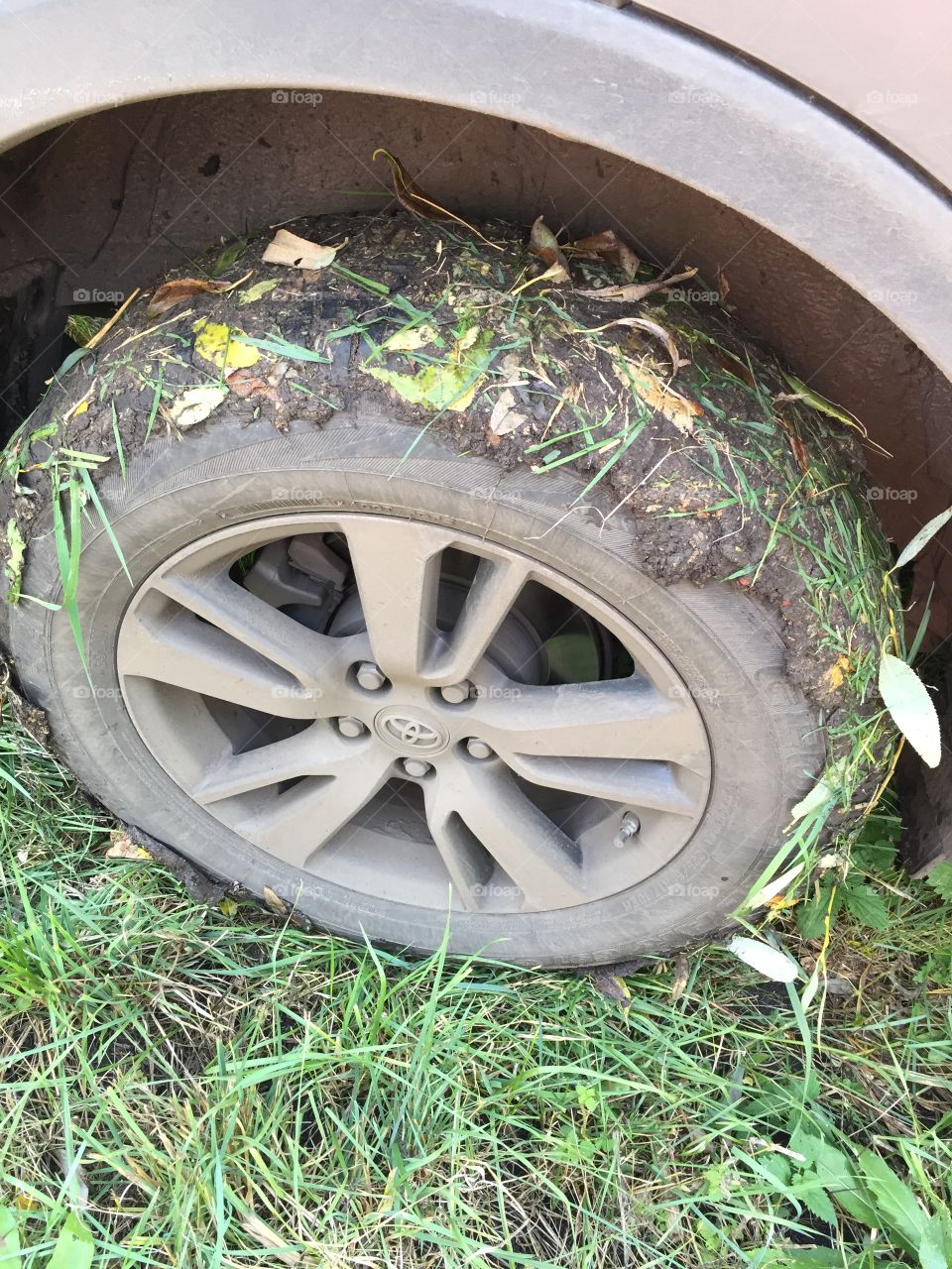 After the autumn rain 