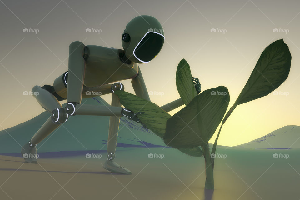 Robot and plant