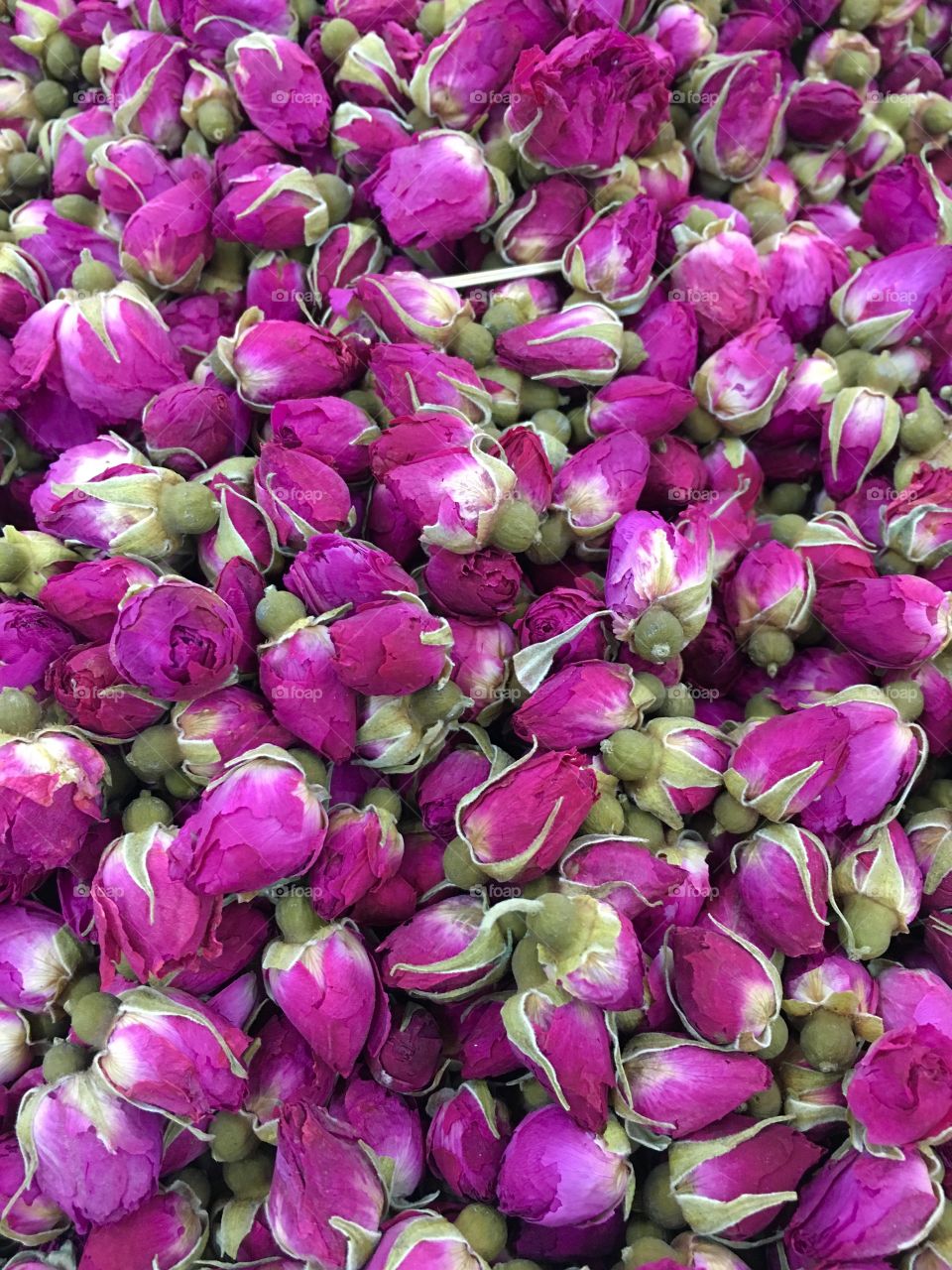 Dried Rose Flower Buds