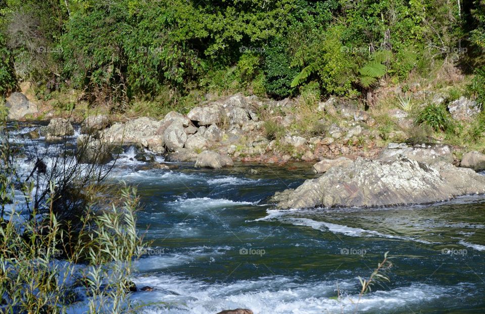 A beautiful stream. Karangahake walkways in New Zealand 