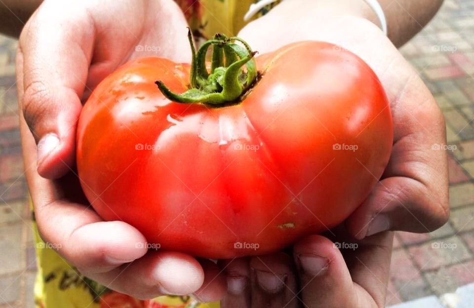 Tomatoe