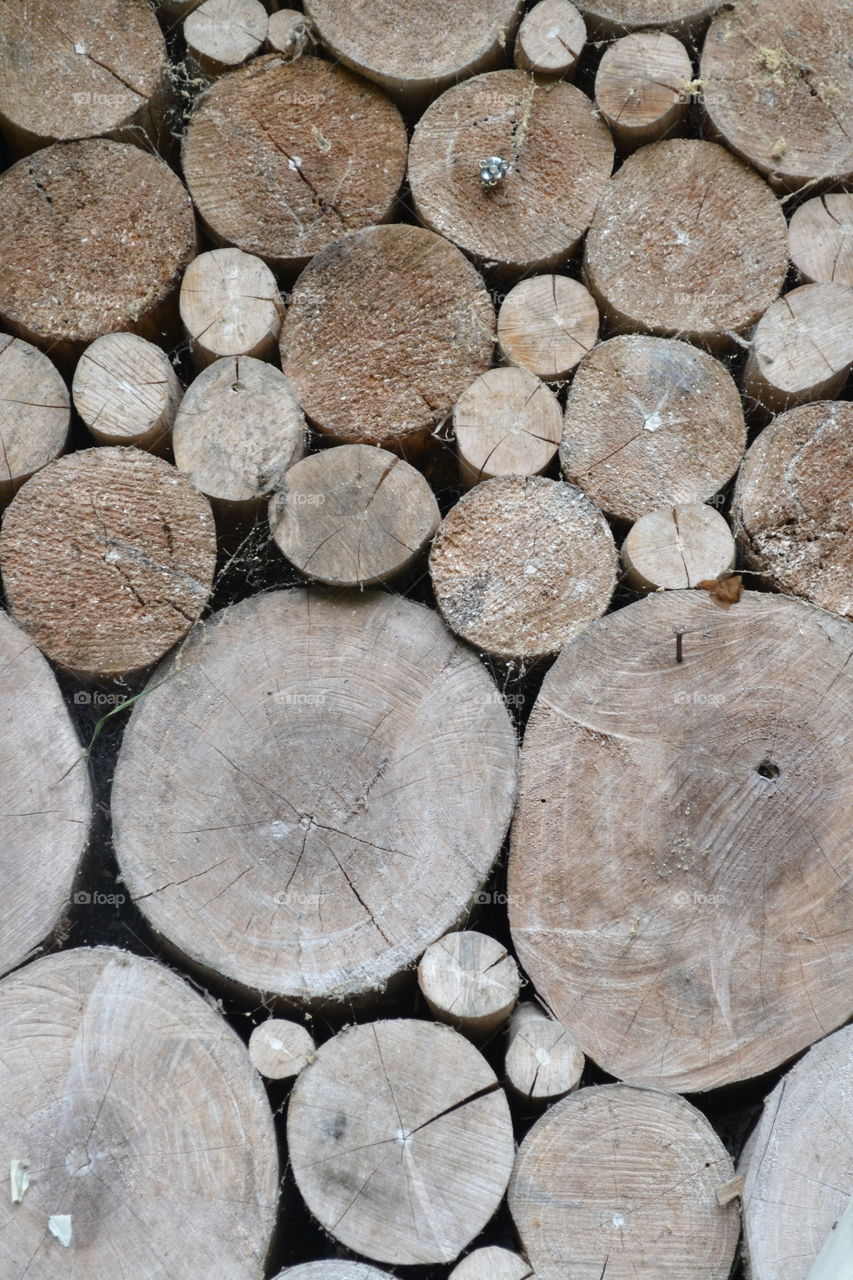 Stack of logs