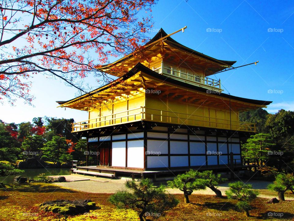 golden pavilion, kyoto, japan