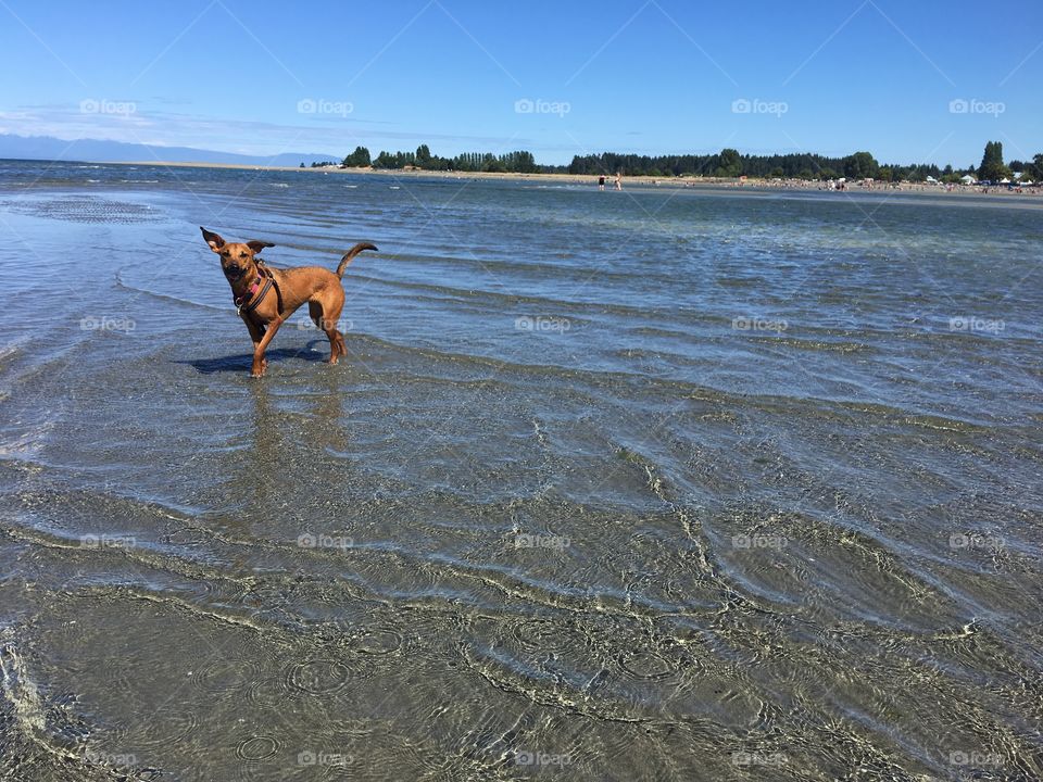 Having fun in the ocean