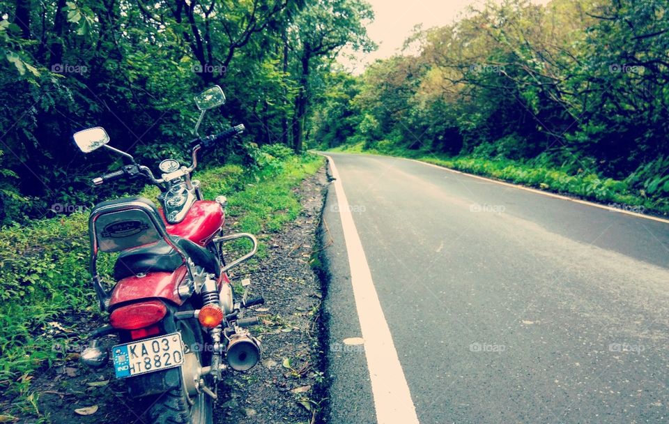 Nothing can be better than having a road trip in the hilly green forest.