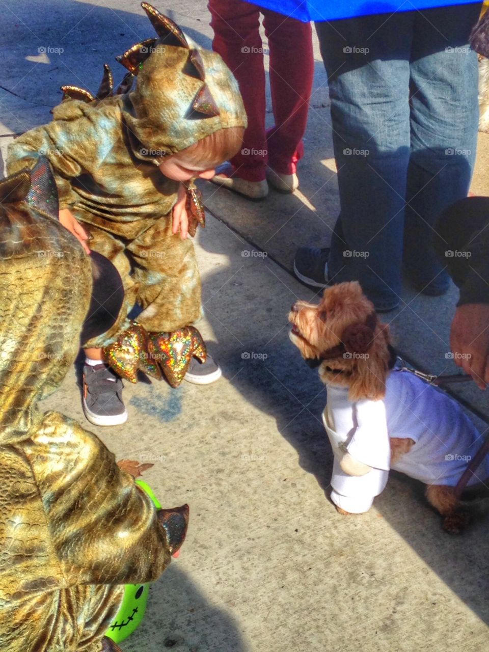 Halloween parade. Kids and puppies