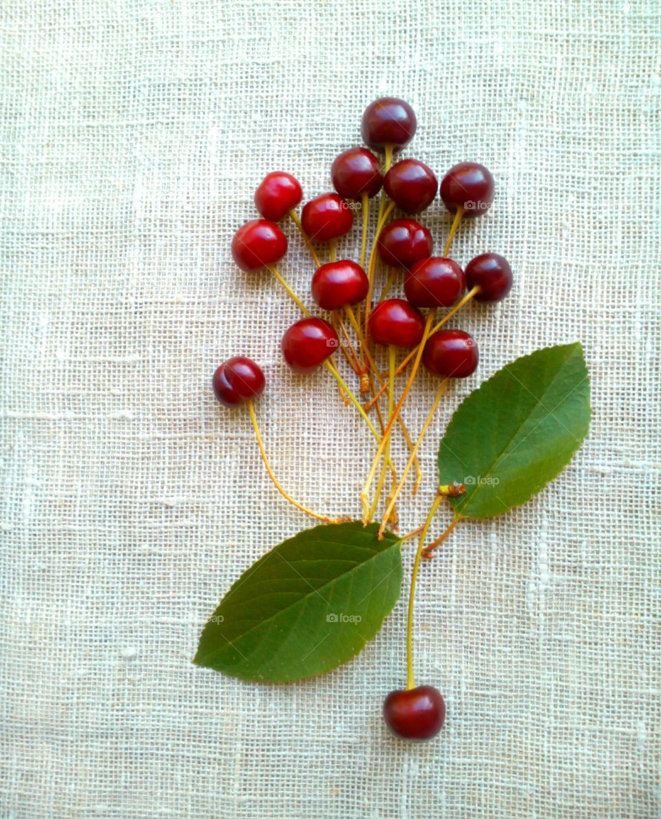 Berry, No Person, Leaf, Fruit, Cherry