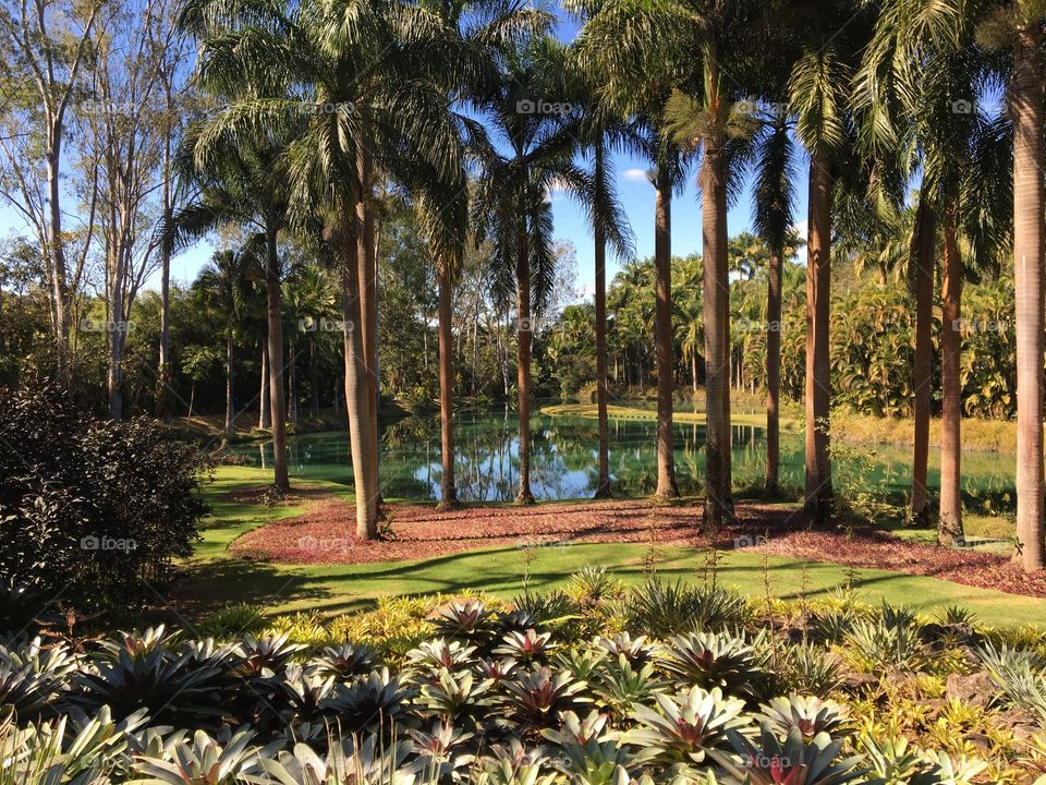 View of a beautiful lake