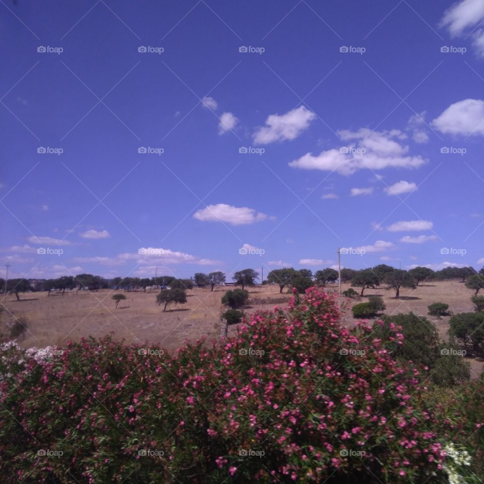 From Nuoro to Oniferi