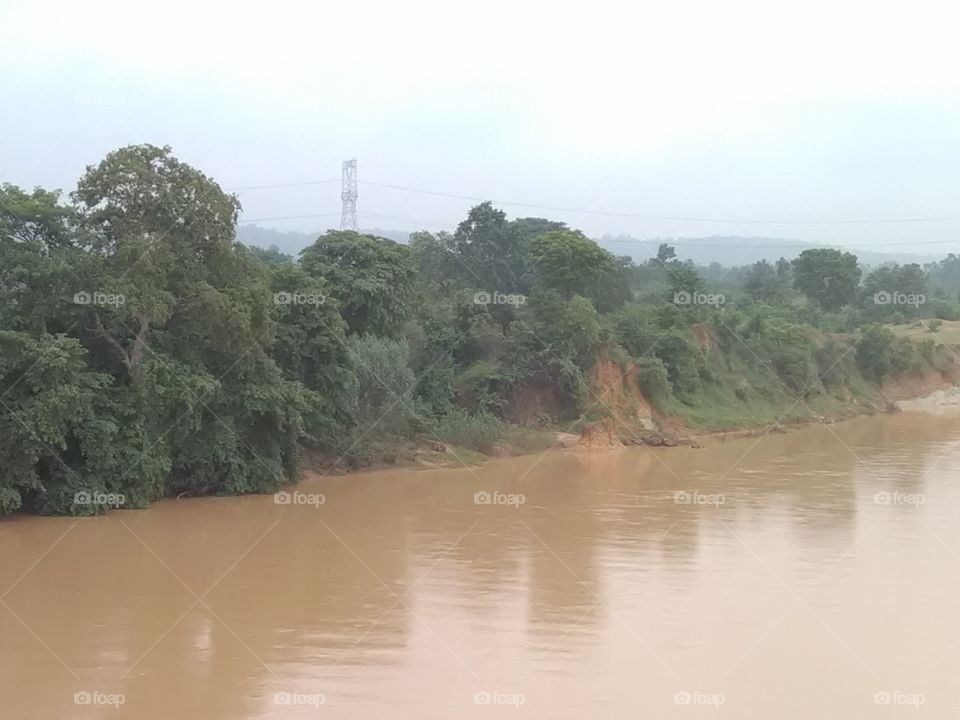 This is a great reaver full of monsoon season.