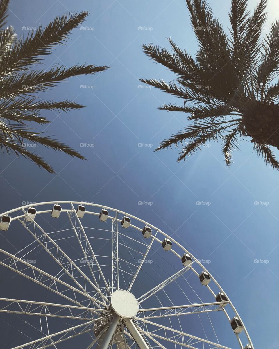 Panama Beach Florida Ferris wheel and palm trees🌴