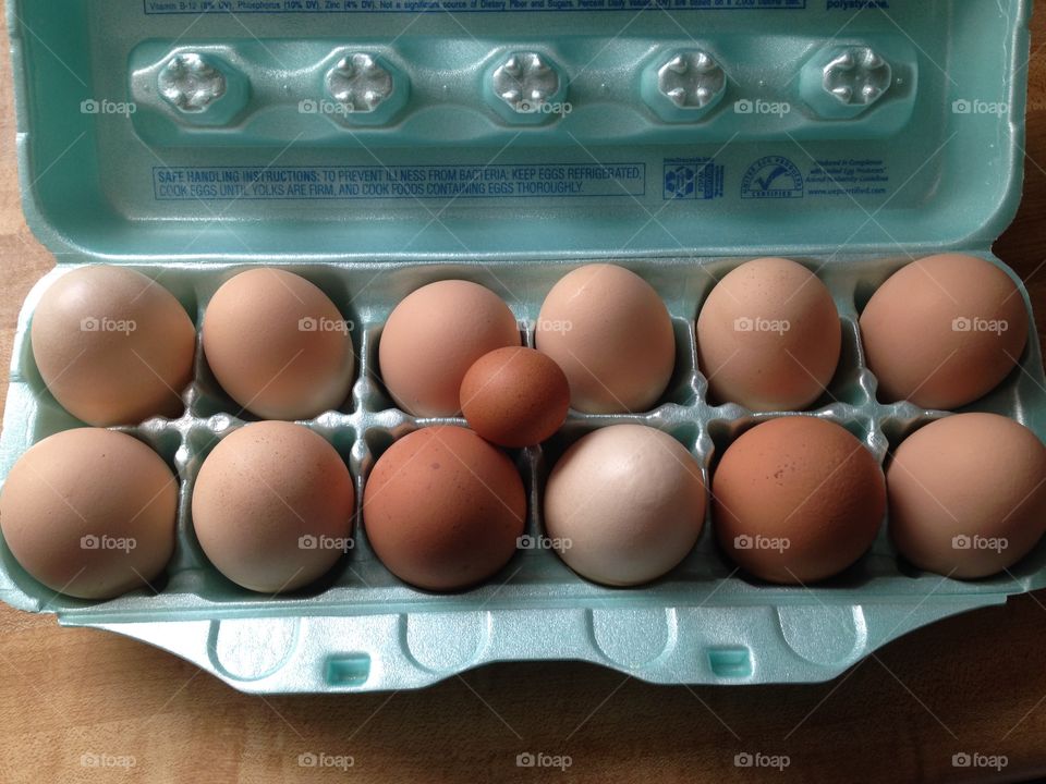 Eggs from the chicken coop.
