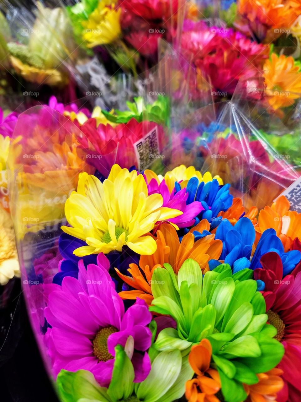 Colorful bouquets of daisy flowers