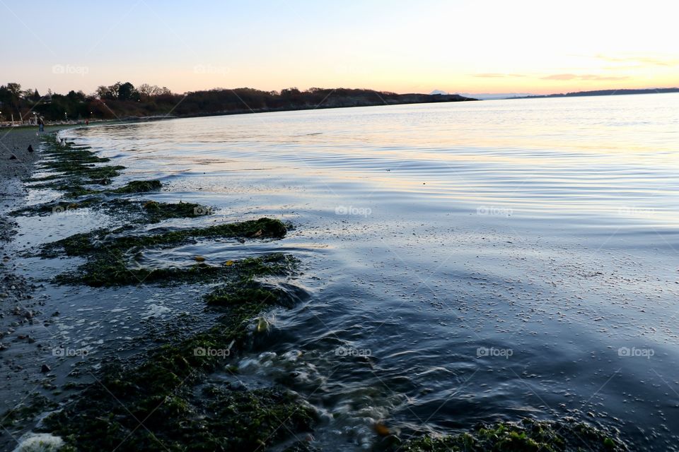 Seaweeds framing the beach