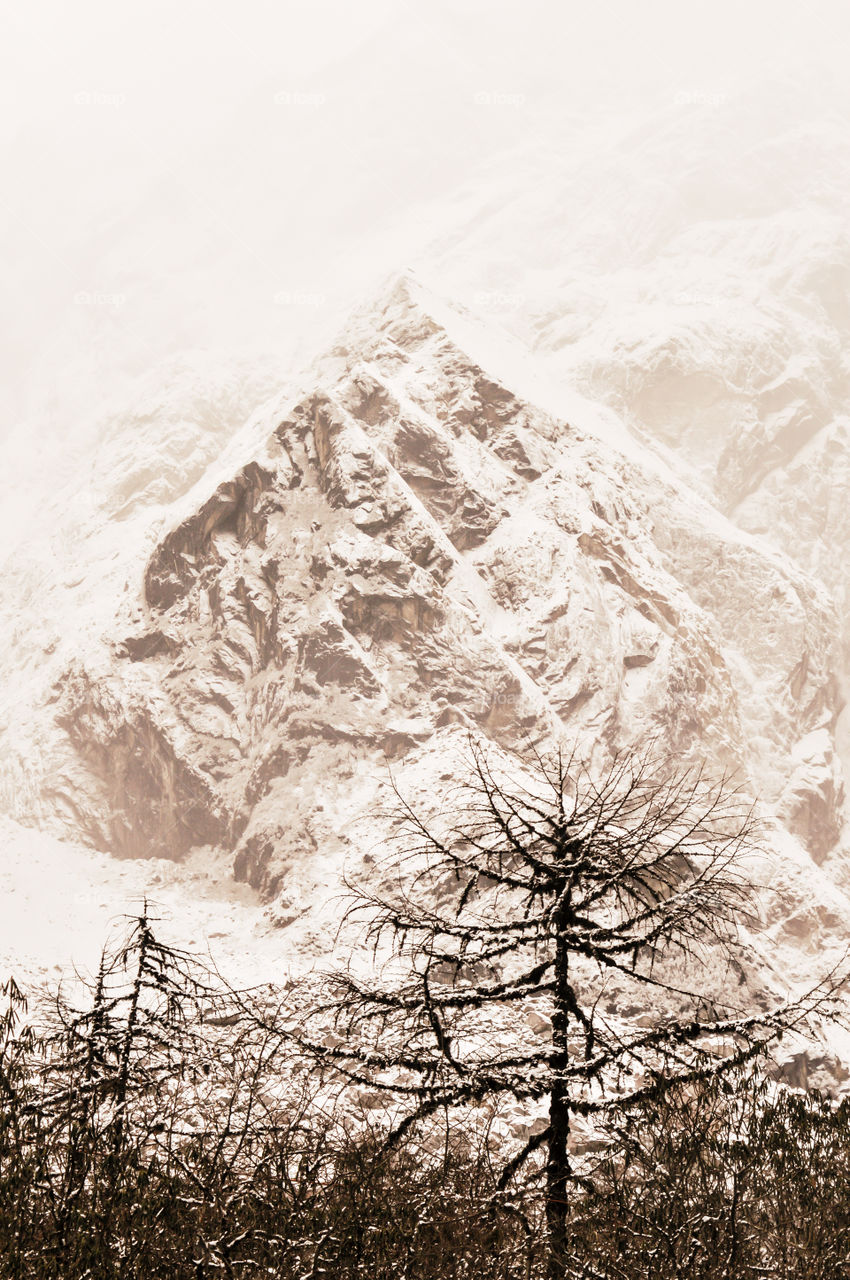 Snow-capped mountain peaks. Frozen landscape Himalayan mountain valley in winter. Snowy winter landscape with snow or hoarfrost covered fir trees.
