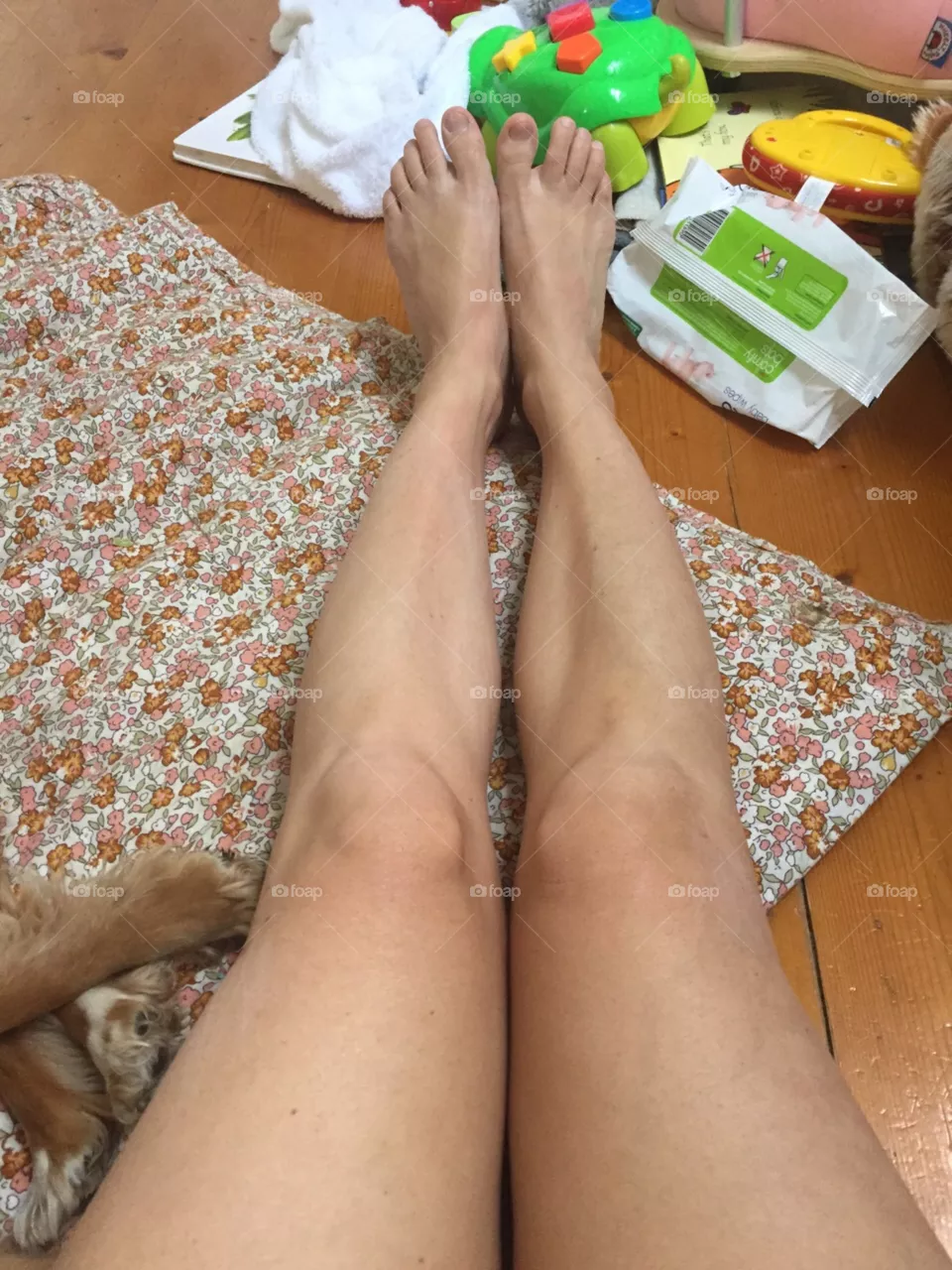 legs