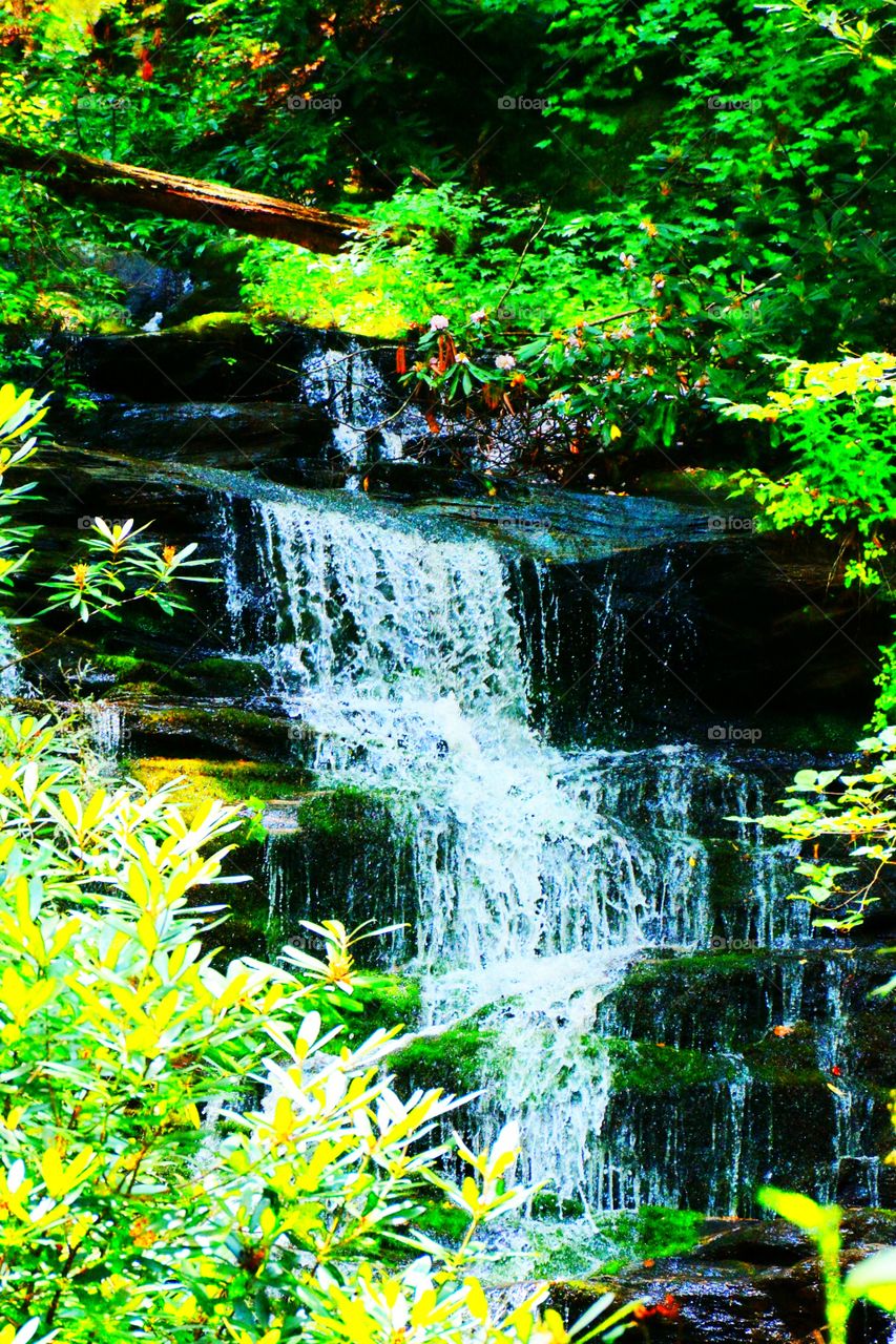 Laurel Falls Georgia 