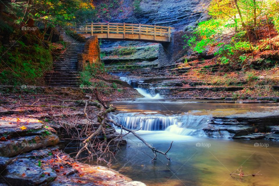 Fall in Upstate New York