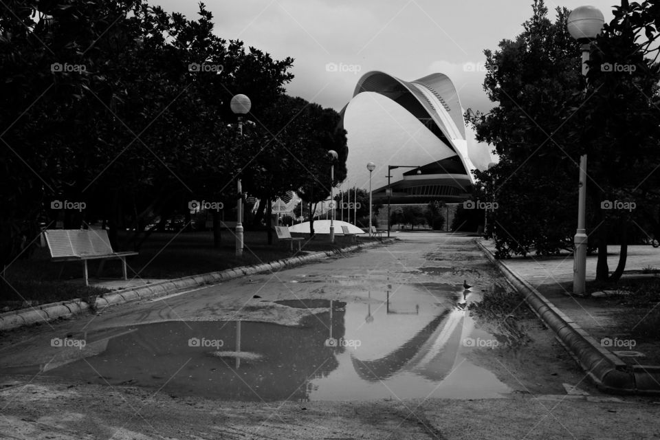 black and white reflection