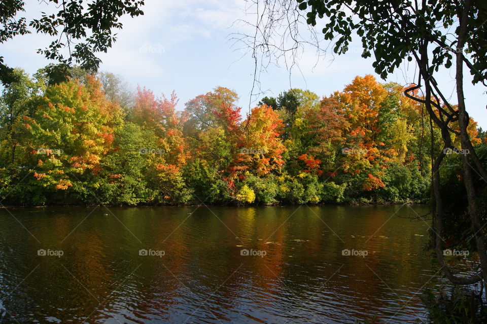 Beautiful fall reflections in Michigan 