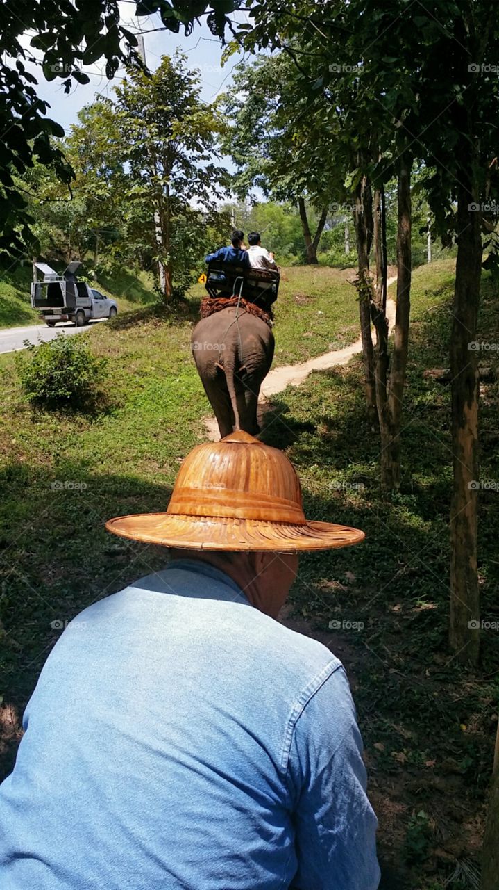 Elephant riding hiking