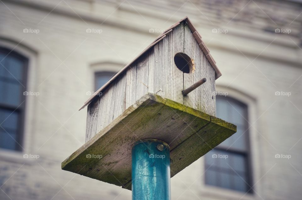 Bird Casa