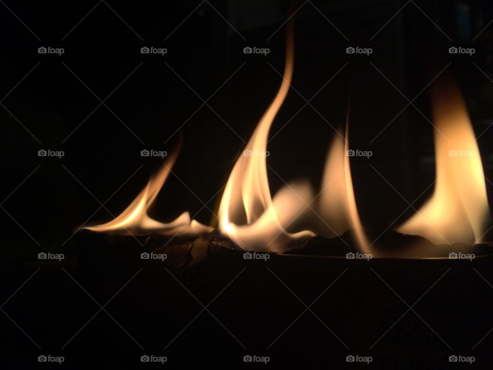 Fire.. that was a can of tuna led on fire while camping