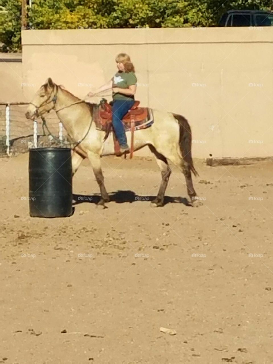 Horse Around the Barrel